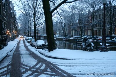 bh_europe_2006_029.jpg