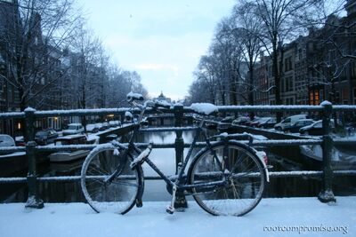 I take this shot in different situations every year.