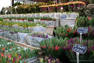 The flower market.