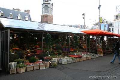 bh_europe_2006_120.jpg