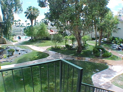 The Alexis grounds.