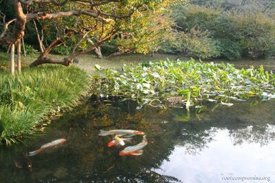 bh_tokyo_2007_115.jpg