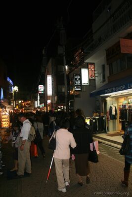 bh_tokyo_2007_181.jpg