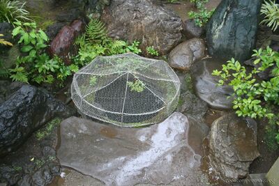 bh_tokyo_2007_226.jpg