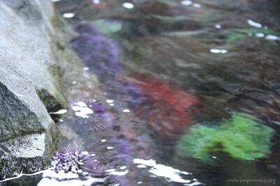 bh_seattle_2005_009.jpg