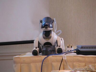 Tim's AIBO.