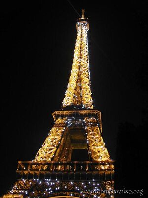 The Eiffel Tower at Night.  On the hour it sparkles with hundreds of strobe lights.