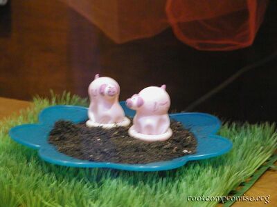 Pig Condoms?