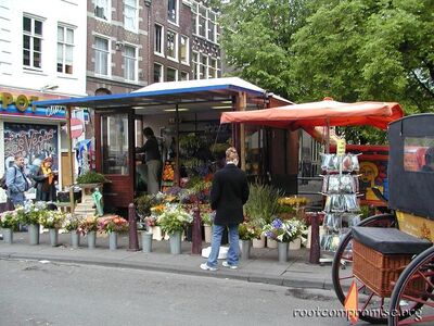 www.amsterdamtulips.nl