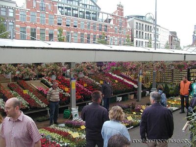 The flower market.