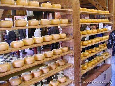 Cheese Factory.  Noteice dedhed peeking through the cheese.