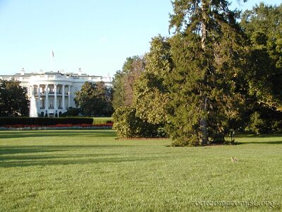 If you look on the lawn you can spot the "First Squirrel".