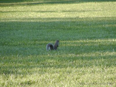 bh_federal_2003_063.jpg