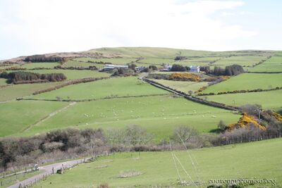 ireland_2005_041.jpg