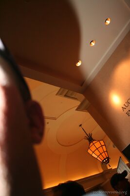 Blinding people with the flash.