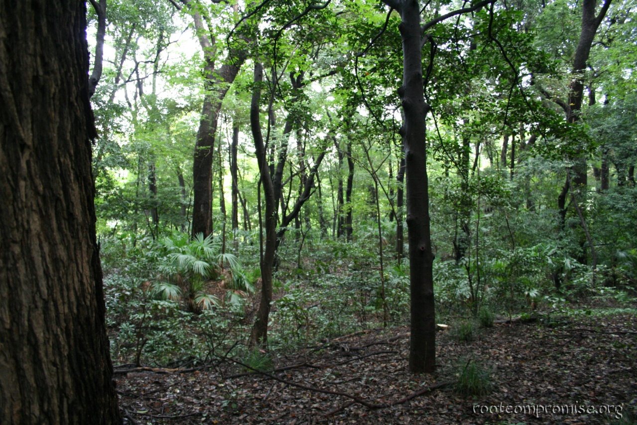 bh_asia_2006_067.jpg