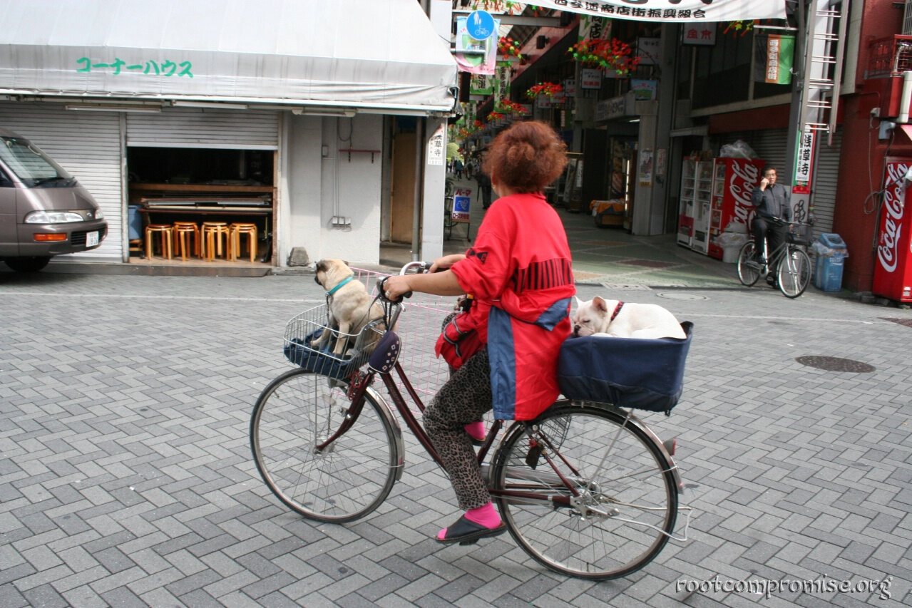 bh_asia_2006_136.jpg