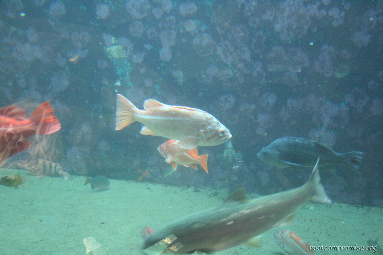 bh_seattle_2005_014.jpg