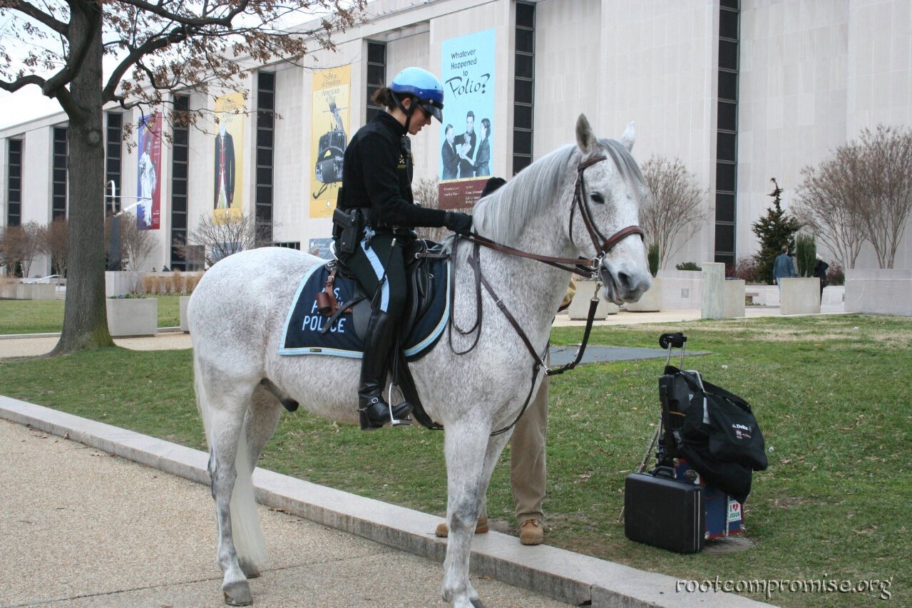 bh_federal_2006_022.jpg